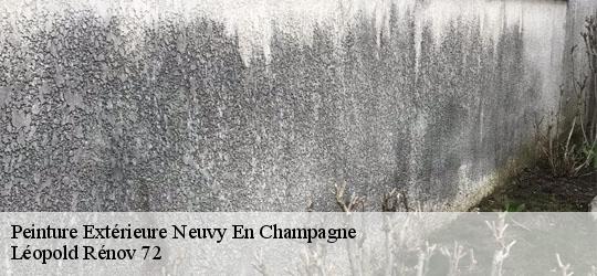 Peinture Extérieure  neuvy-en-champagne-72240 Léopold Rénov 72