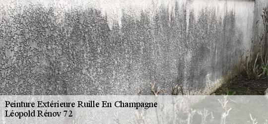 Peinture Extérieure  ruille-en-champagne-72240 Léopold Rénov 72