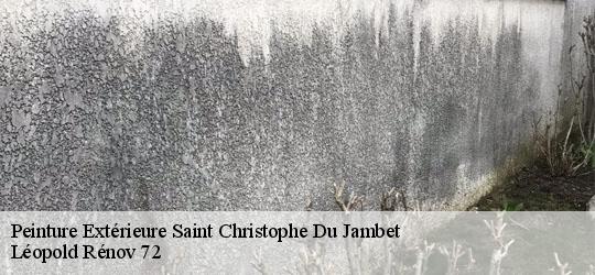 Peinture Extérieure saint-christophe-du-jambet-72170 Léopold Rénov 72