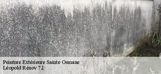 Peinture Extérieure sainte-osmane-72120 Léopold Rénov 72