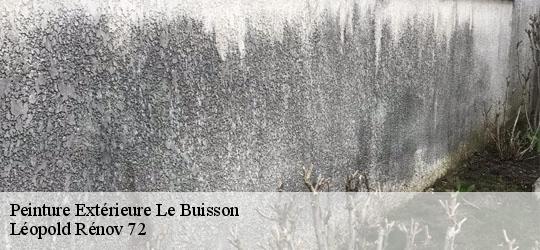 Peinture Extérieure le-buisson-72610 Léopold Rénov 72