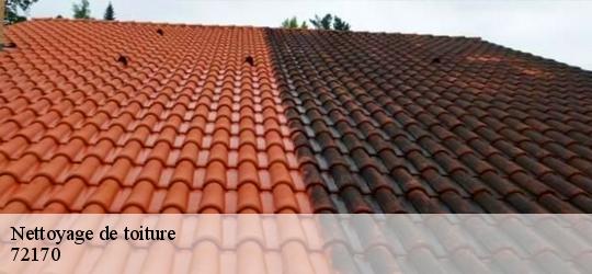 Nettoyage de toiture asse-le-riboul-72170 Artisan Dubois nettoyage