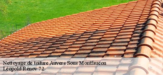 Nettoyage de toiture auvers-sous-montfaucon-72540 Artisna Christol
