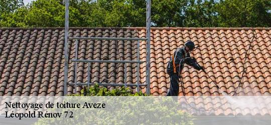 Nettoyage de toiture aveze-72400 Léopold Rénov 72