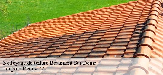 Nettoyage de toiture beaumont-sur-deme-72340 Léopold Rénov 72