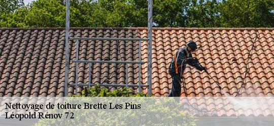 Nettoyage de toiture  brette-les-pins-72250 Léopold Rénov 72