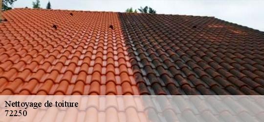 Nettoyage de toiture brette-les-pins-72250 Léopold Rénov 72