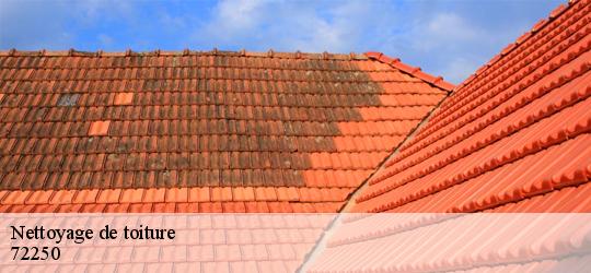 Nettoyage de toiture brette-les-pins-72250 Léopold Rénov 72