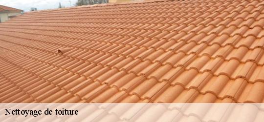 Nettoyage de toiture  briosne-les-sables-72110 Léopold Rénov 72