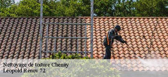 Nettoyage de toiture chenay-72610 Léopold Rénov 72