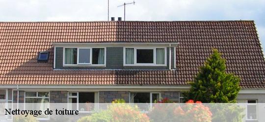 Nettoyage de toiture courcelles-la-foret-72270 Léopold Rénov 72