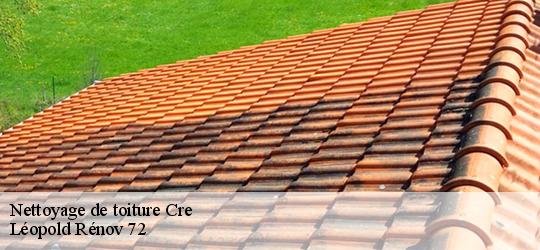 Nettoyage de toiture cre-72200 Artisan Dubois nettoyage