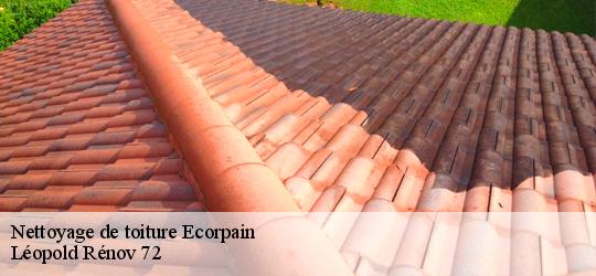 Nettoyage de toiture  ecorpain-72120 Léopold Rénov 72