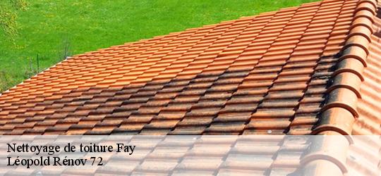 Nettoyage de toiture fay-72550 Artisan Dubois nettoyage