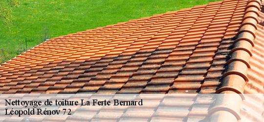 Nettoyage de toiture  la-ferte-bernard-72400 Léopold Rénov 72