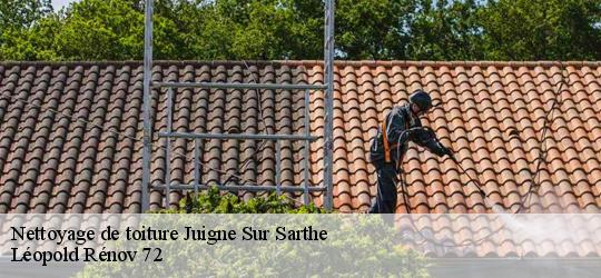 Nettoyage de toiture juigne-sur-sarthe-72300 Léopold Rénov 72