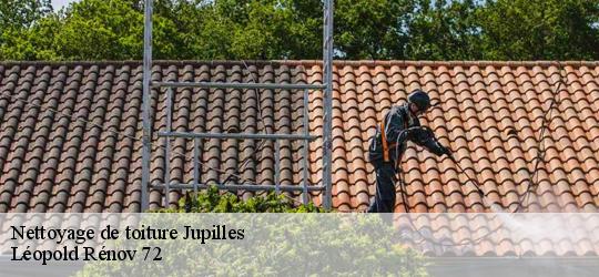 Nettoyage de toiture  jupilles-72500 Léopold Rénov 72