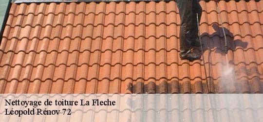 Nettoyage de toiture  la-fleche-72200 Léopold Rénov 72