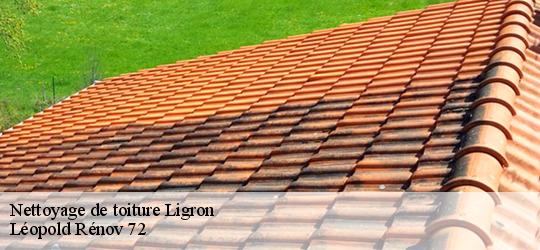 Nettoyage de toiture  ligron-72270 Léopold Rénov 72