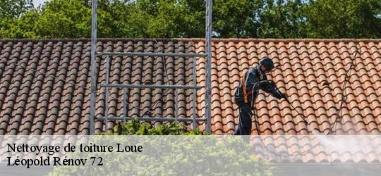Nettoyage de toiture loue-72540 Léopold Rénov 72