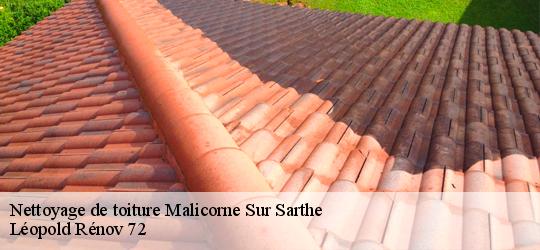 Nettoyage de toiture malicorne-sur-sarthe-72270 Léopold Rénov 72