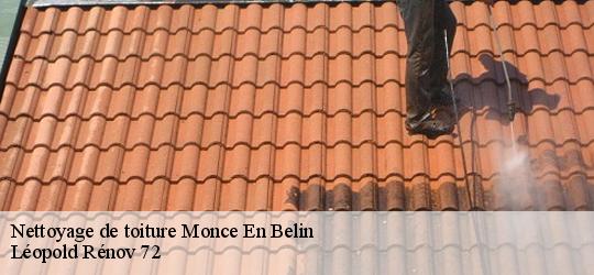 Nettoyage de toiture  monce-en-belin-72230 Léopold Rénov 72