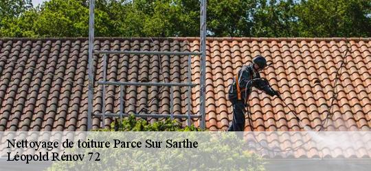 Nettoyage de toiture parce-sur-sarthe-72300 Léopold Rénov 72
