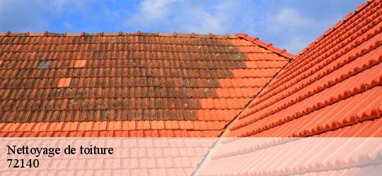 Nettoyage de toiture peze-le-robert-72140 Artisan Dubois nettoyage