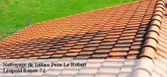 Nettoyage de toiture peze-le-robert-72140 Léopold Rénov 72
