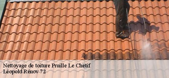 Nettoyage de toiture  pruille-le-chetif-72700 Léopold Rénov 72