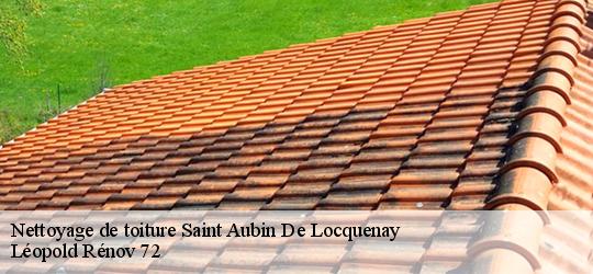 Nettoyage de toiture saint-aubin-de-locquenay-72130 Léopold Rénov 72
