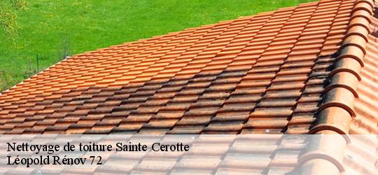 Nettoyage de toiture  sainte-cerotte-72120 Léopold Rénov 72