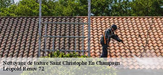 Nettoyage de toiture  saint-christophe-en-champagn-72540 Léopold Rénov 72