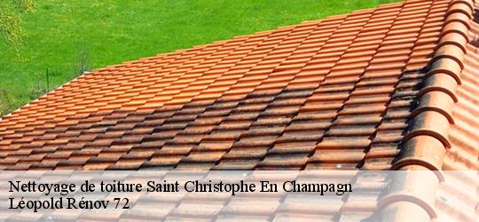 Nettoyage de toiture saint-christophe-en-champagn-72540 Léopold Rénov 72