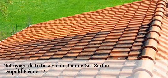 Nettoyage de toiture sainte-jamme-sur-sarthe-72380 Léopold Rénov 72