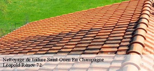 Nettoyage de toiture saint-ouen-en-champagne-72350 Léopold Rénov 72