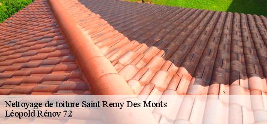 Nettoyage de toiture  saint-remy-des-monts-72600 Léopold Rénov 72