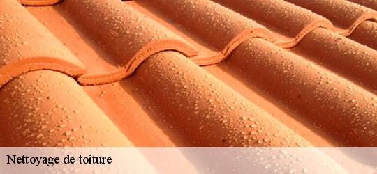 Nettoyage de toiture  solesmes-72300 Artisan Dubois nettoyage