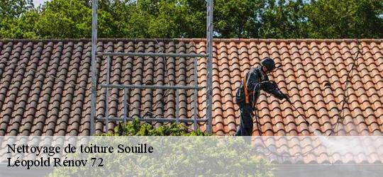 Nettoyage de toiture  souille-72380 Léopold Rénov 72