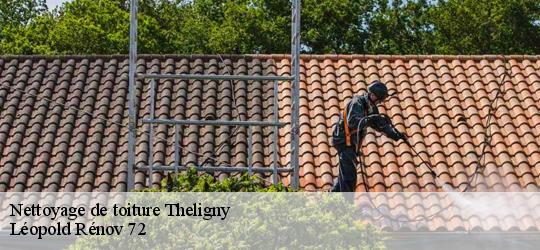 Nettoyage de toiture theligny-72320 Artisan Dubois nettoyage