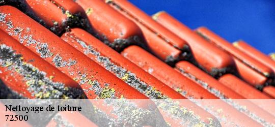 Nettoyage de toiture thoire-sur-dinan-72500 Artisan Dubois nettoyage