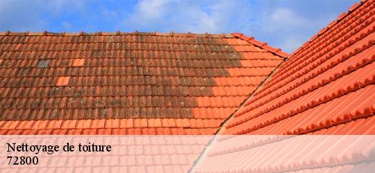 Nettoyage de toiture thoree-les-pins-72800 Léopold Rénov 72