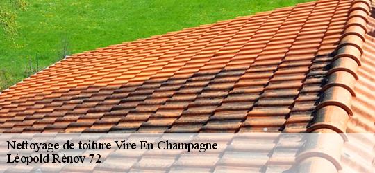 Nettoyage de toiture vire-en-champagne-72350 Léopold Rénov 72