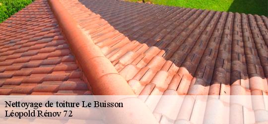 Nettoyage de toiture le-buisson-72610 Léopold Rénov 72